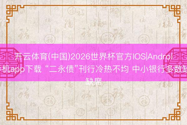 开云体育(中国)2026世界杯官方IOS|Android手机app下载 “二永债”刊行冷热不均 中小银行多数缺席