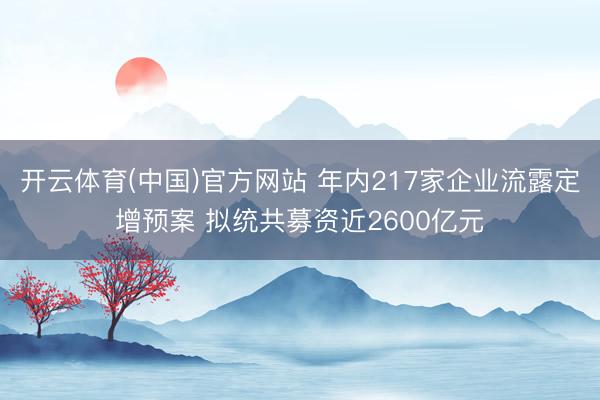 开云体育(中国)官方网站 年内217家企业流露定增预案 拟统共募资近2600亿元