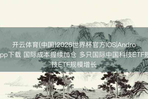 开云体育(中国)2026世界杯官方IOS|Android手机app下载 国际成本握续加仓 多只国际中国科技ETF规模增长
