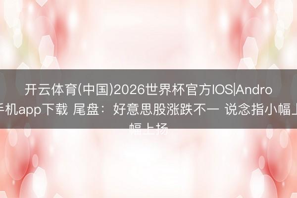 开云体育(中国)2026世界杯官方IOS|Android手机app下载 尾盘：好意思股涨跌不一 说念指小幅上扬