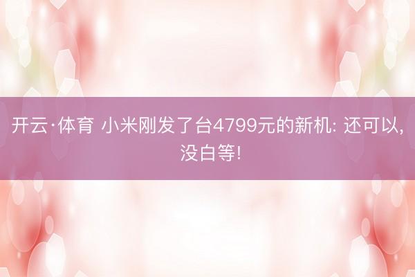 开云·体育 小米刚发了台4799元的新机: 还可以， 没白等!