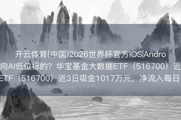 开云体育(中国)2026世界杯官方IOS|Android手机app下载 资金涌向AI低位标的？华宝基金大数据ETF（516700）近3日吸金1017万元，净流入每日攀升！