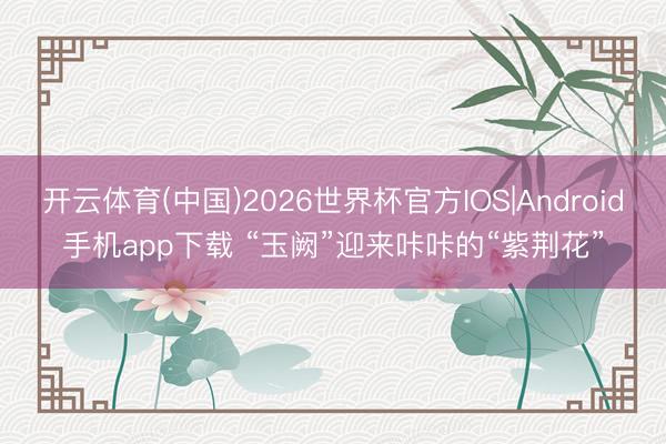 开云体育(中国)2026世界杯官方IOS|Android手机app下载 “玉阙”迎来咔咔的“紫荆花”