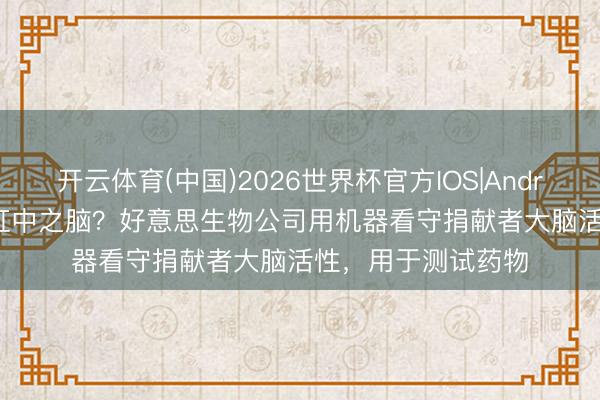 开云体育(中国)2026世界杯官方IOS|Android手机app下载 缸中之脑？好意思生物公司用机器看守捐献者大脑活性，用于测试药物