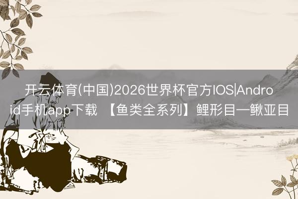 开云体育(中国)2026世界杯官方IOS|Android手机app下载 【鱼类全系列】鲤形目—鳅亚目