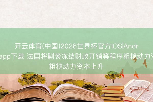开云体育(中国)2026世界杯官方IOS|Android手机app下载 法国将剿袭冻结财政开销等程序粗糙动力资本上升