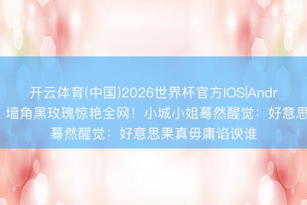 开云体育(中国)2026世界杯官方IOS|Android手机app下载 墙角黑玫瑰惊艳全网!小城小姐蓦然醒觉:好意思果真毋庸谄谀谁