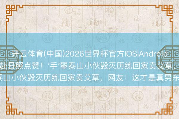 开云体育(中国)2026世界杯官方IOS|Android手机app下载 黄晓明亲赴日照点赞!'手'攀泰山小伙毁灭历练回家卖艾草,网友:这才是真男东说念主