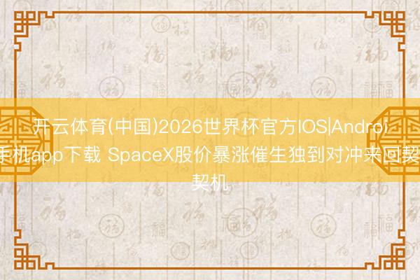 开云体育(中国)2026世界杯官方IOS|Android手机app下载 SpaceX股价暴涨催生独到对冲来回契机
